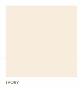 WhatsApp Image 2025-09-09 at 17.28.05 (1)